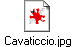 Cavaticcio.jpg