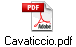 Cavaticcio.pdf