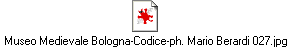 Museo Medievale Bologna-Codice-ph. Mario Berardi 027.jpg