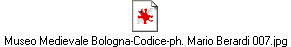 Museo Medievale Bologna-Codice-ph. Mario Berardi 007.jpg